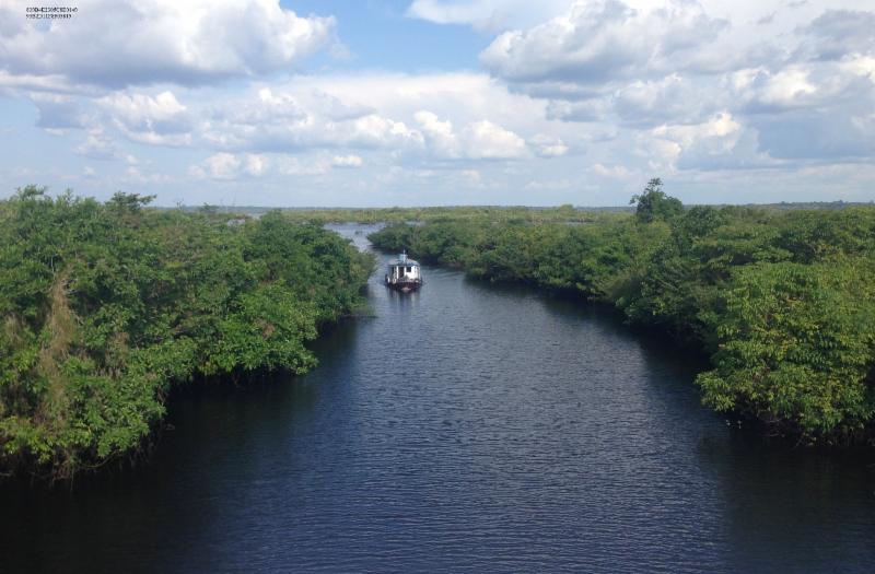 Featured image for “Travel in the Amazon”
